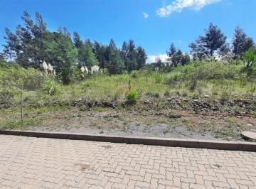 Terreno · 390m² · Terreno À Venda - Em Alfândega
