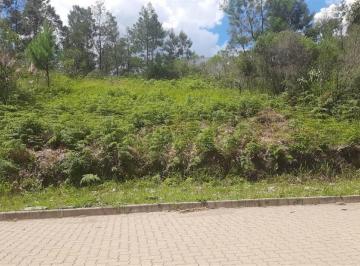 Terreno · 360m² · Terreno À Venda - Em Alfândega
