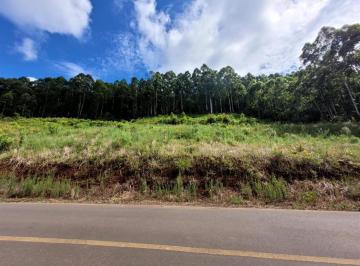 Terreno · 1000m² · Terreno À Venda - Zona Rural