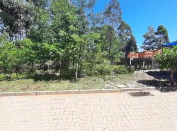 Terreno · 390m² · Terreno À Venda - Em Alfândega