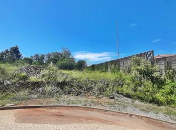 Terreno · 419m² · Terreno À Venda - Em Alfândega