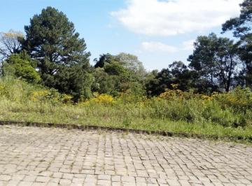 Terreno · 330m² · Terreno À Venda - Em Borghetto