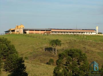 Foto 09 · Sítio/haras Com 52 Mil m², Área E 3.000 m² Área Construída, Barracões, 6 Casas de Funcionários, 29 Coc