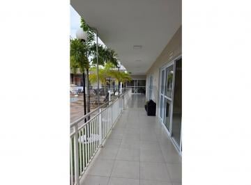 Apartamento · 66m² · 3 Quartos · 2 Vagas · Apartamento Para Alugar Em Além Ponte de 66.00 m² Com 3 Quartos, 1 Suite E 2 Garagens