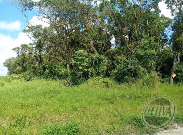 Terreno · 450m² · Terreno Em Gaivotas, Matinhos/pr de 450 m² À Venda por R$170.000