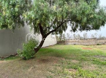 Terreno · 12m² · Terreno Em São Luiz, Paulínia/sp de 12 m² À Venda por R$285.000