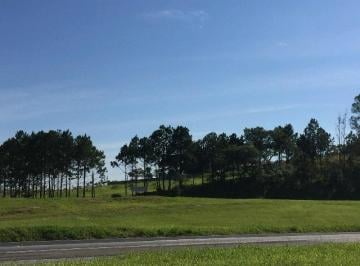 Terreno · 10900m² · Área Em Vila Artura, Sorocaba/sp de 10900 m² Para Locação R$9.500,00/mes
