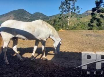 Rural · 60000m² · 2 Quartos · Sítio Em Fazenda Alpina, Teresópolis/rj de 60000 m² 2 Quartos À Venda por R$600.000
