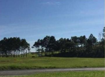 Terreno · 10900m² · Área Em Vila Artura, Sorocaba/sp de 10900 m² À Venda por R$3.900.100ou Para Locação R$9.500,00/