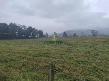 Terreno · 40722m² · Terreno Em Prado de Baixo, Biguaçu/sc de 40722 m² À Venda por R$5.000.000