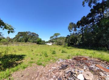 Terreno · 2590m² · Terreno Em Floresta, Gramado/rs de 2590 m² À Venda por R$7.700.000