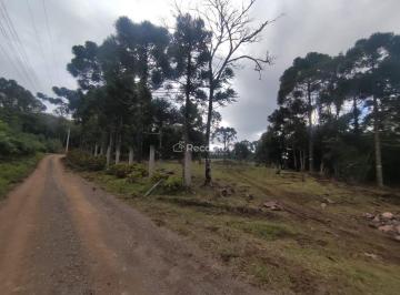 Terreno · 131547m² · Terreno Em Três Pinheiros, Gramado/rs de m² À Venda por R$