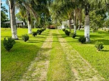 Rural · 5000m² · Chácara Em Centro, Mandirituba/pr de 5000 m² À Venda por R$625.000