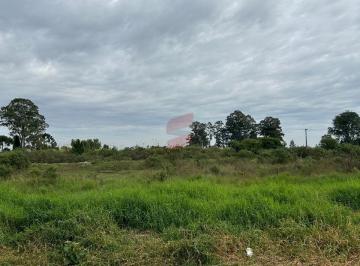 Terreno · 1264m² · Terreno Em Guarituba, Piraquara/pr de 1264 m² À Venda por R$350.000