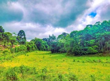 Terreno · 70000m² · Terreno Em Serra Grande Alemã, Gramado/rs de 70000 m² À Venda por R$1.160.000
