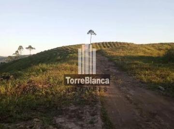 Rural · 10m² · Fazenda Em Socavão, Castro/pr de 10 m² À Venda por R$6.500.000