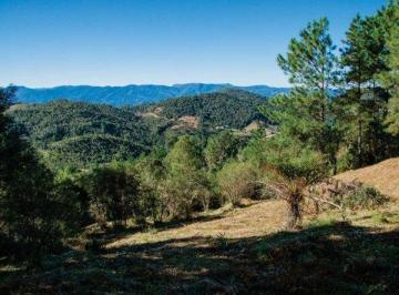 Terreno · 907m² · Terreno Em Centro, Rancho Queimado/sc de 0 m² À Venda por R$199.000