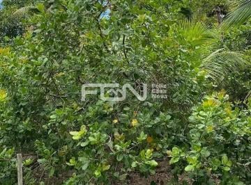 Rural · 10m² · 4 Quartos · Fazenda Em Pitanga de Palmares, Simões Filho/ba de 10 m² 4 Quartos À Venda por R$600.000