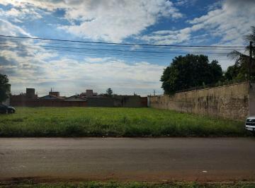 Terreno · 1000m² · Terreno Em Chácara Pantanal Engenho Velho, Mogi Guaçu/sp de 1000 m² À Venda por R$425.000