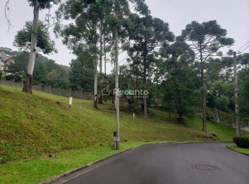 Terreno · 2359m² · Terreno Em o Bosque, Gramado/rs de 2359 m² À Venda por R$3.562.000