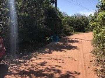Terreno · 6017m² · Terreno Amplo E Arborizado Com 58 m de Frente – Oportunidade Em Pipa
