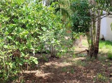 Terreno · 390m² · Terreno Para Venda Em Jardim Dos Pinheiros de 390.00 m²