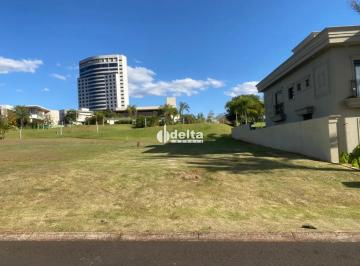 Terreno · 1002m² · Terreno Disponível Para Venda Em Condomínio Solares Da Gávea Bairro Gávea Em Uberlândia - Mg