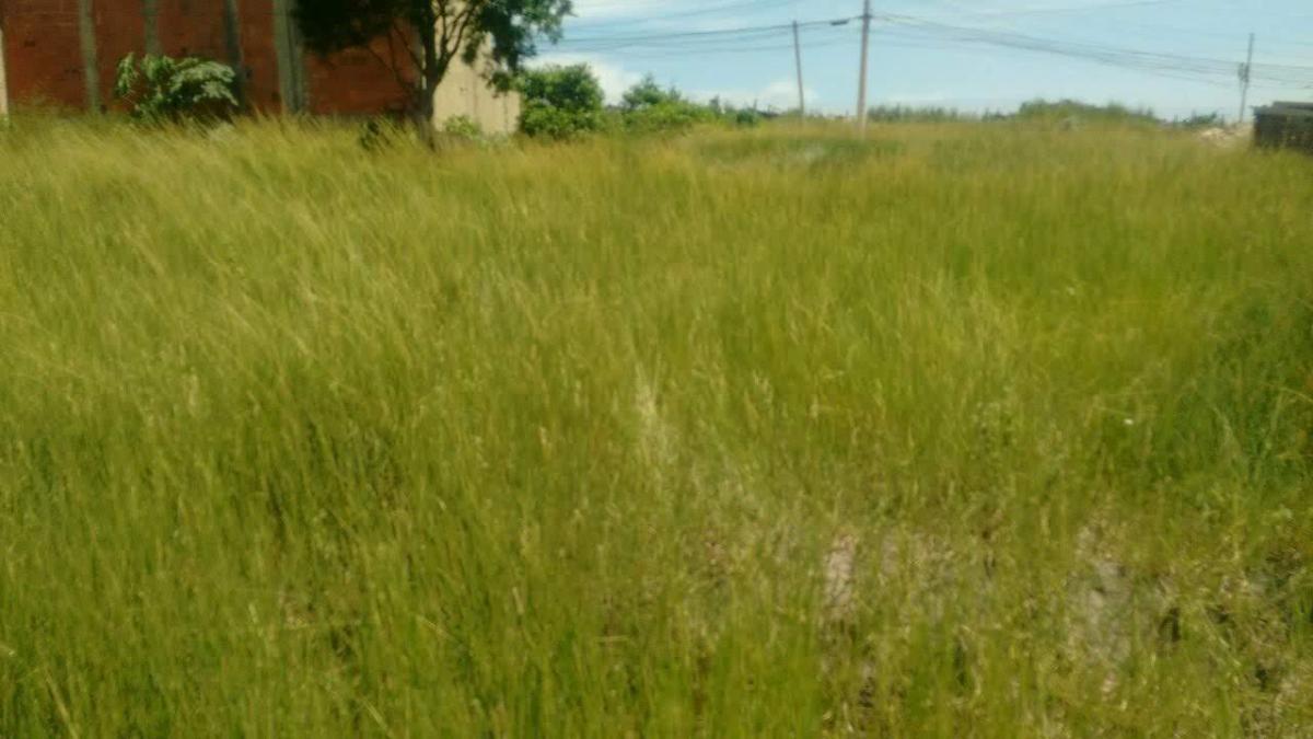 Foto - Rio de Janeiro - Paciência