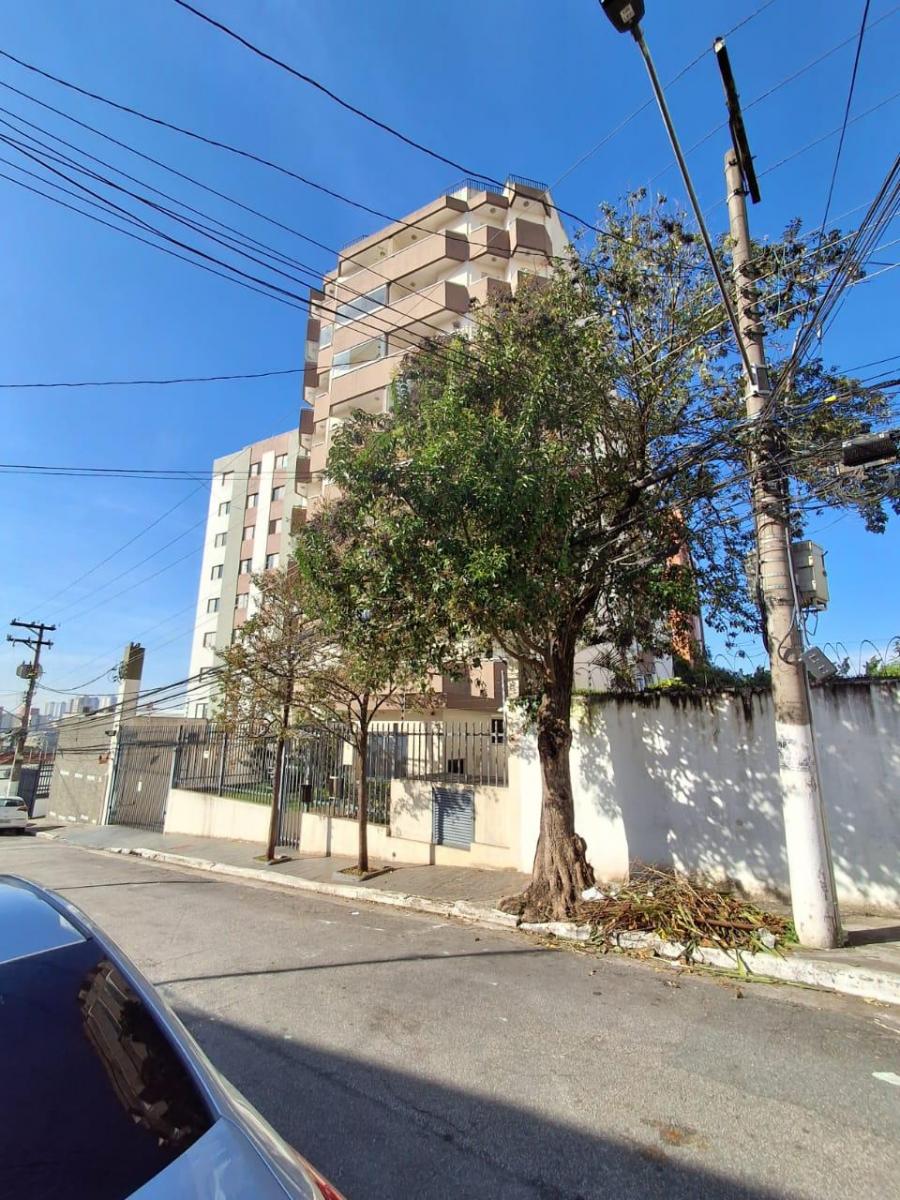 Captação de Apartamento a venda na Rua Major Freire, Vila Monte Alegre, São Paulo, SP