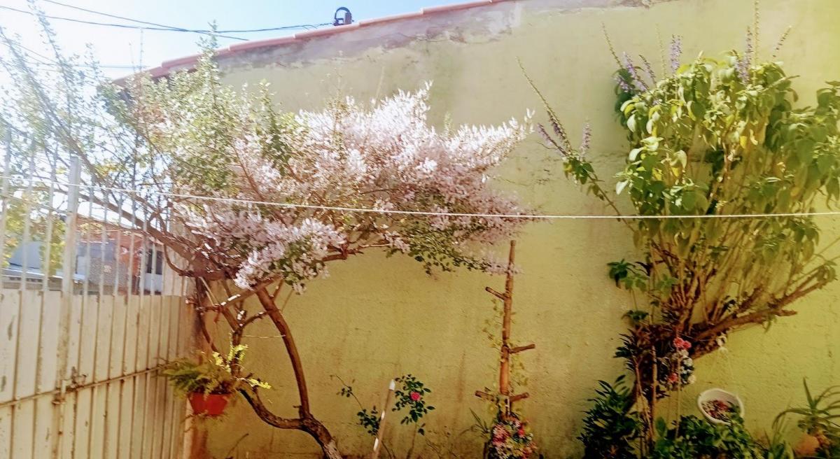 Foto - Poá - Jardim Nova Poá