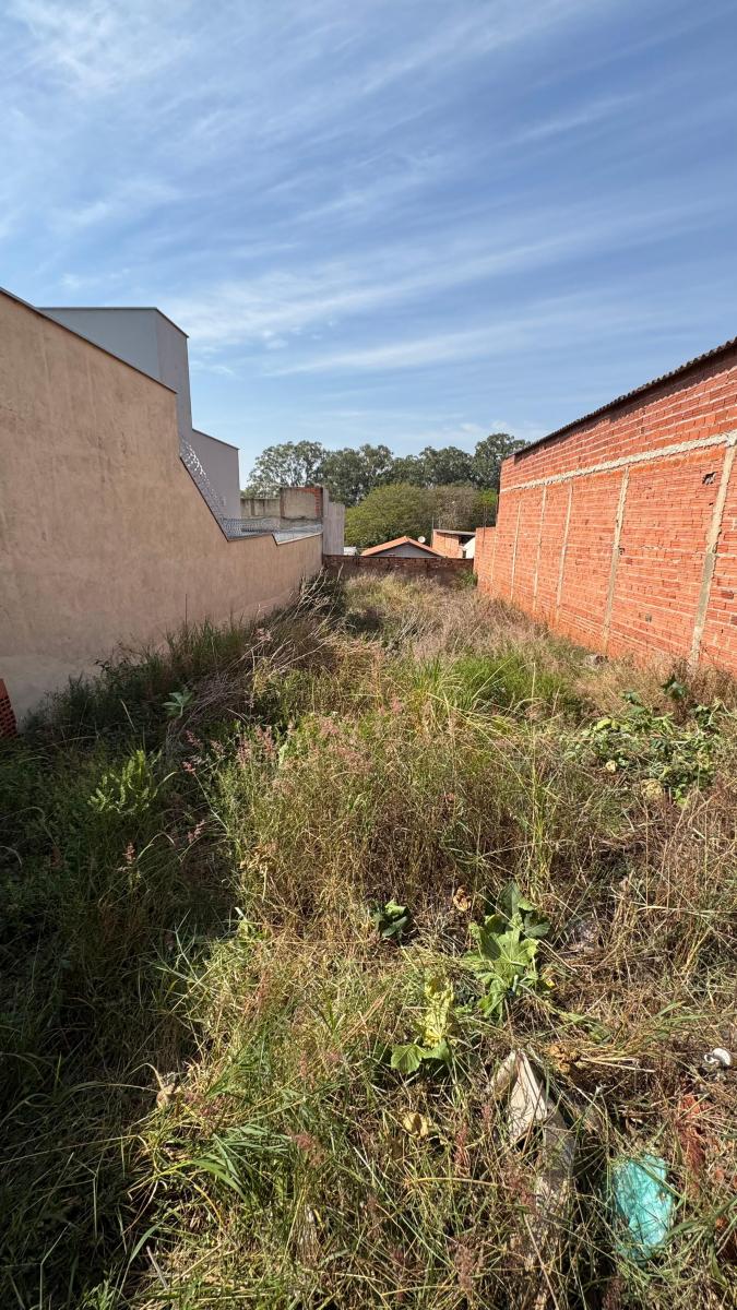 Foto - Piracicaba - Loteamento São Francisco