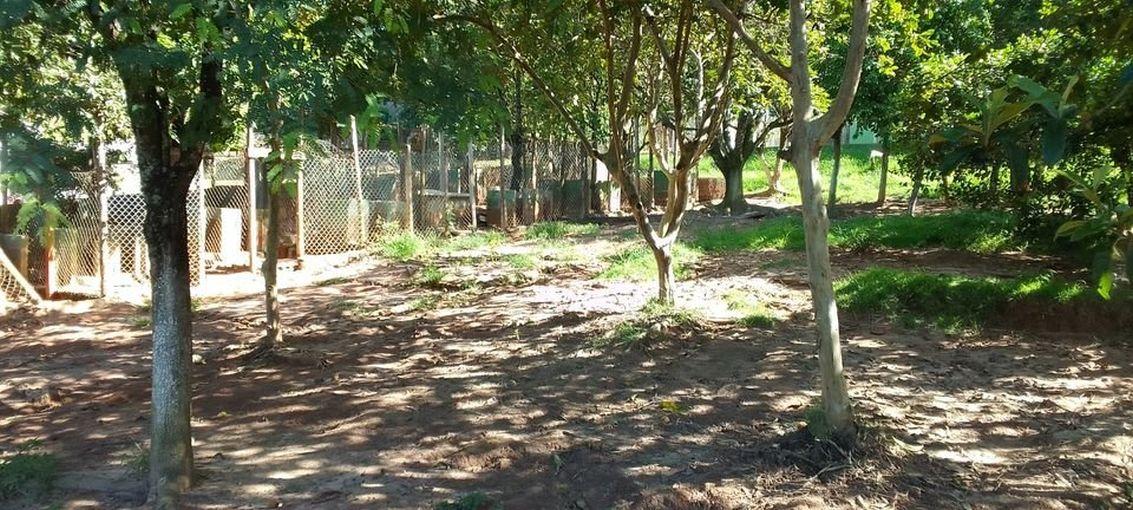 Foto - São José dos Campos - Chácaras Pousada do Vale
