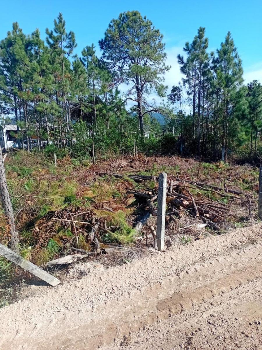 Foto - Florianópolis - 