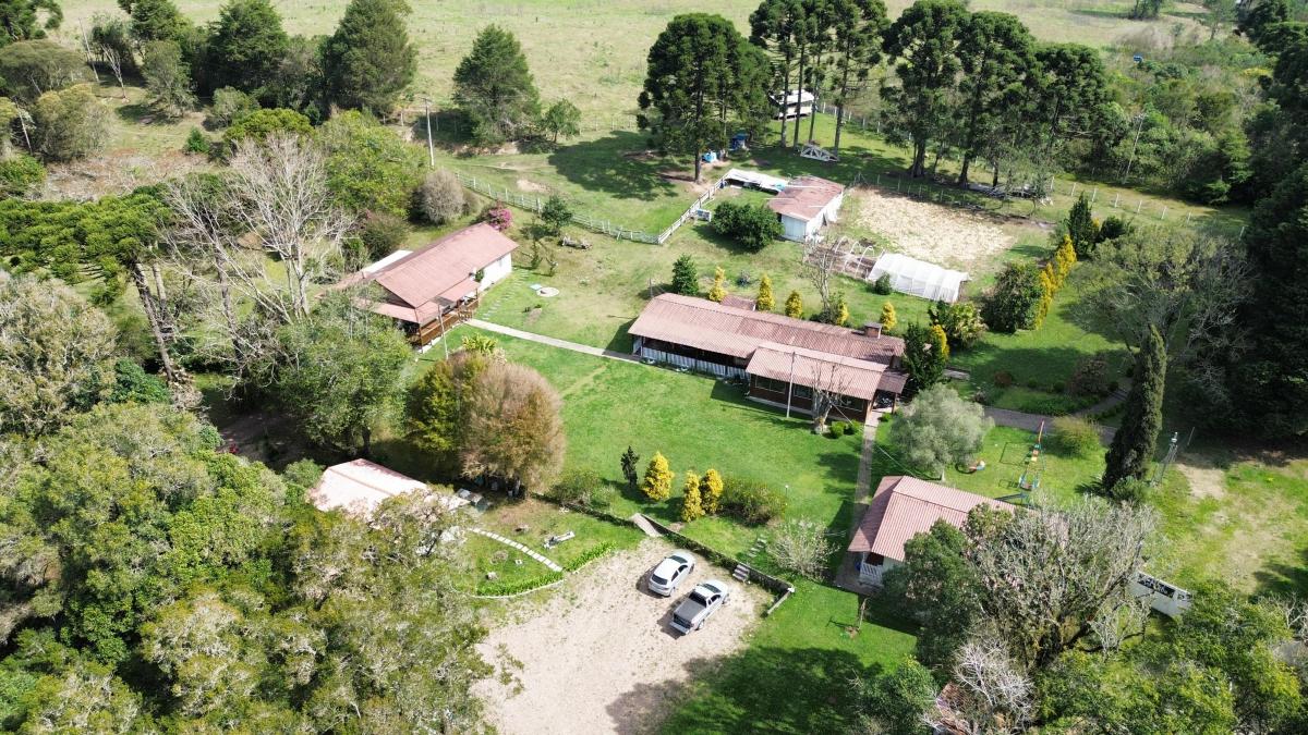 Foto - São José dos Pinhais - Contenda