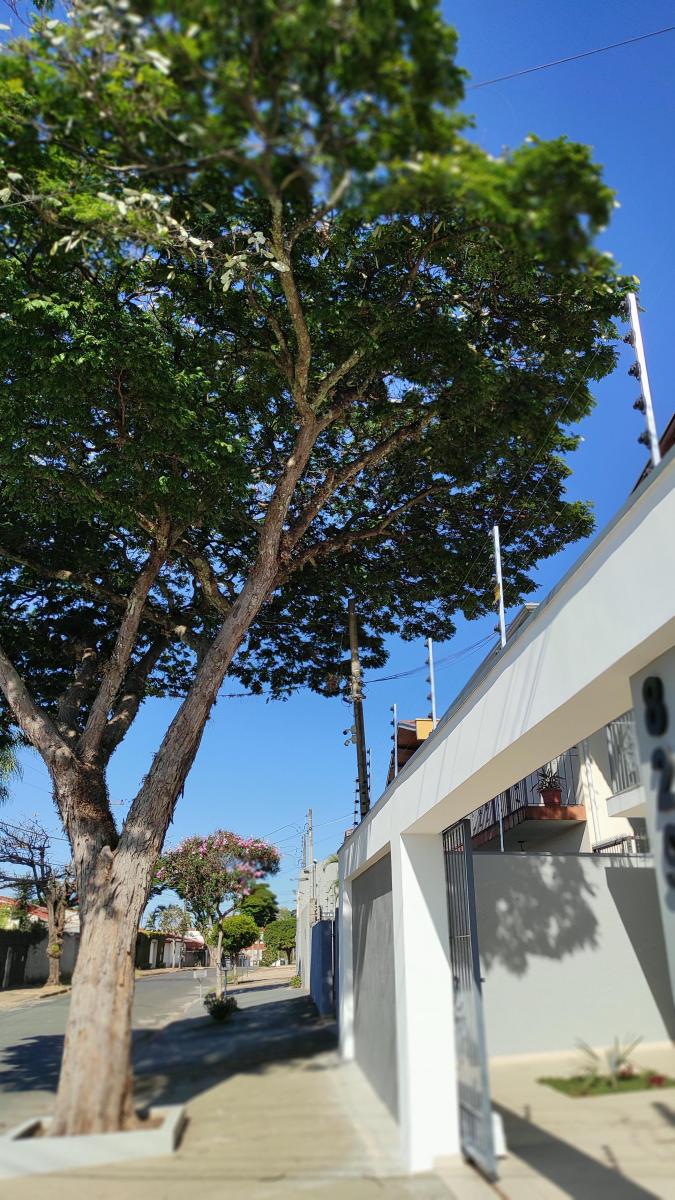 Foto - Campinas - Parque São Quirino