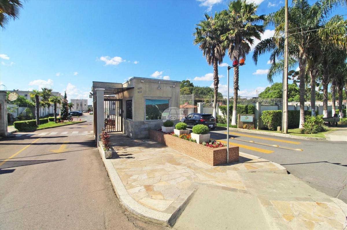 Foto - Araucária - Costeira