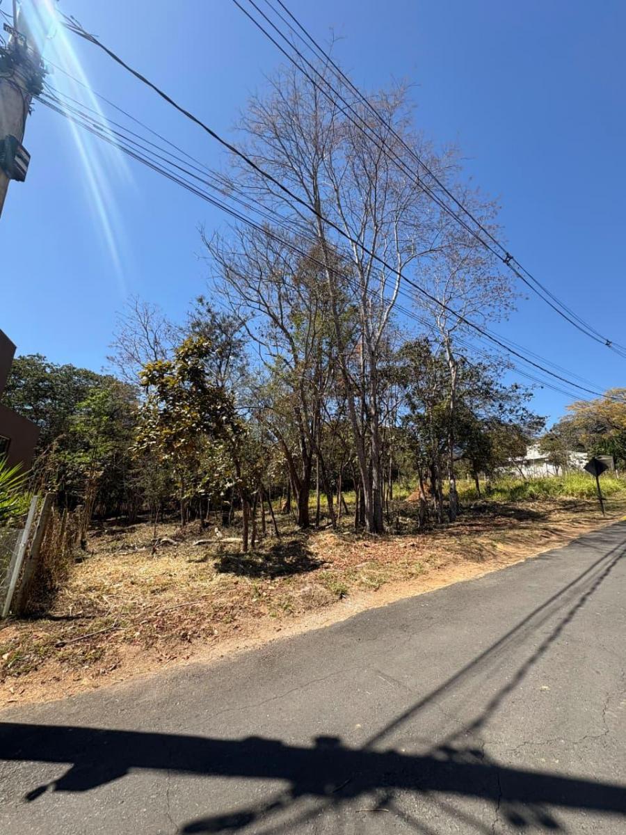 Foto - Lagoa Santa - Palmital