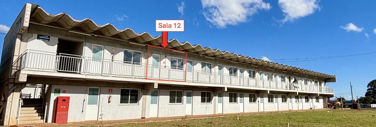 Foto - Ponta Grossa - Cará-cará