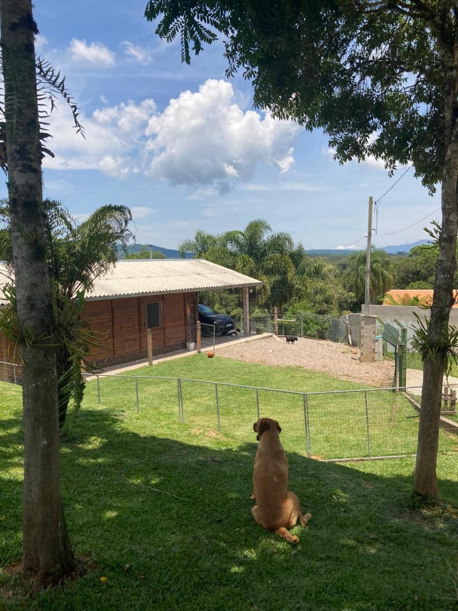Foto - São José dos Pinhais - Faxina