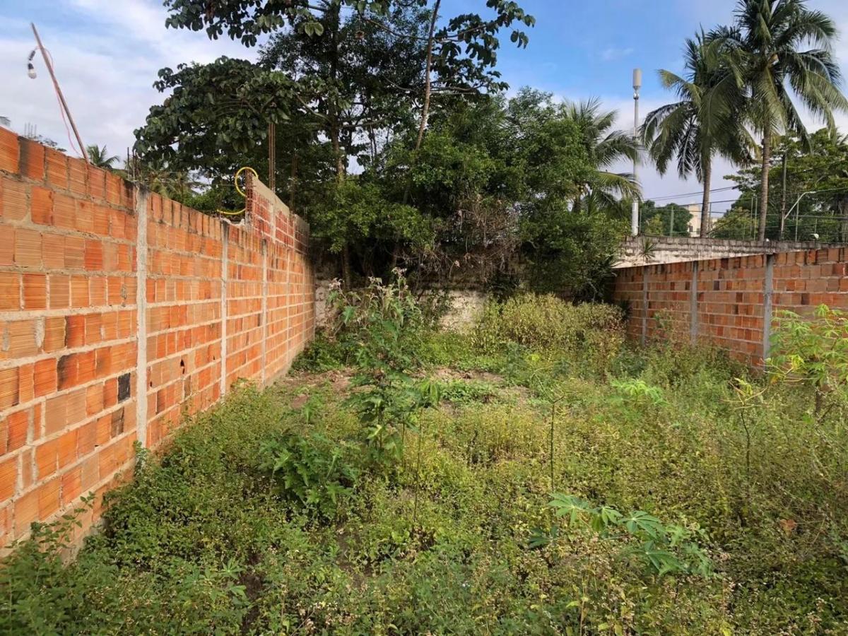 Foto - Salvador - Jardim das Margaridas