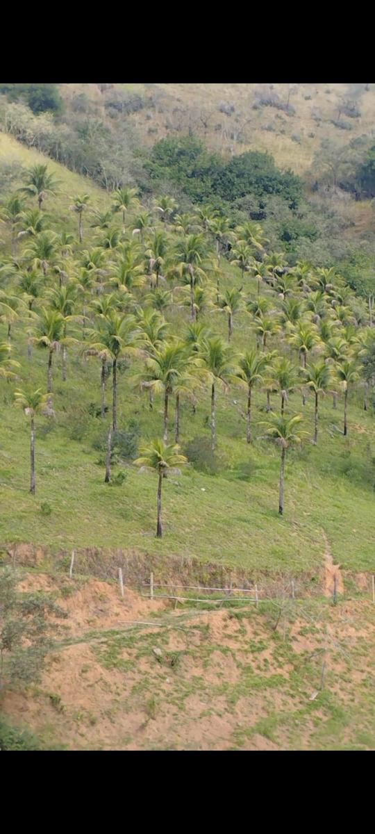 Foto - Cachoeiras de Macacu - Centro