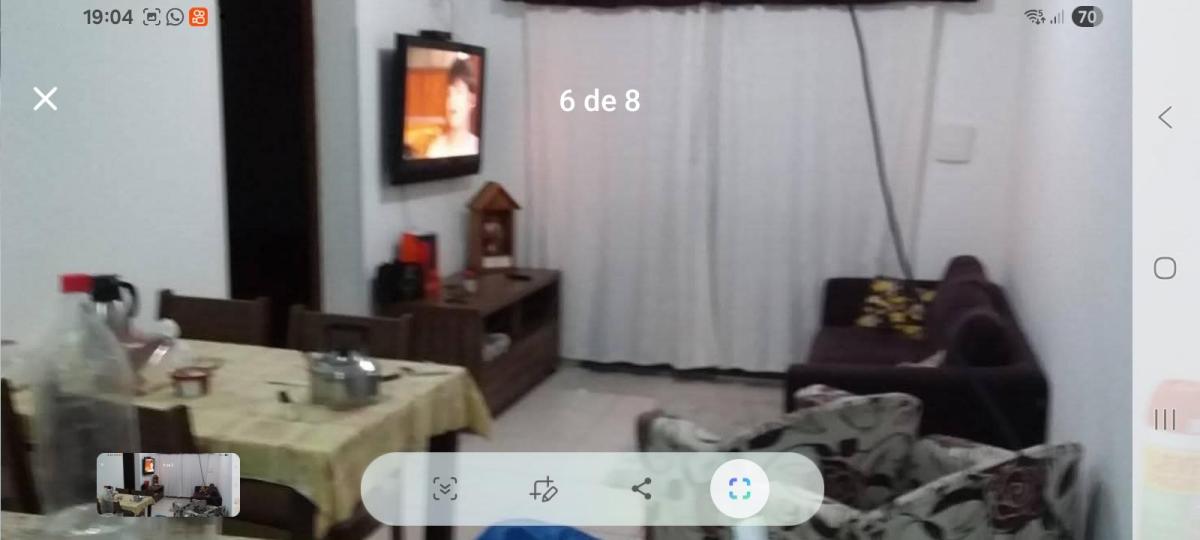 Foto - Matinhos - Gaivotas