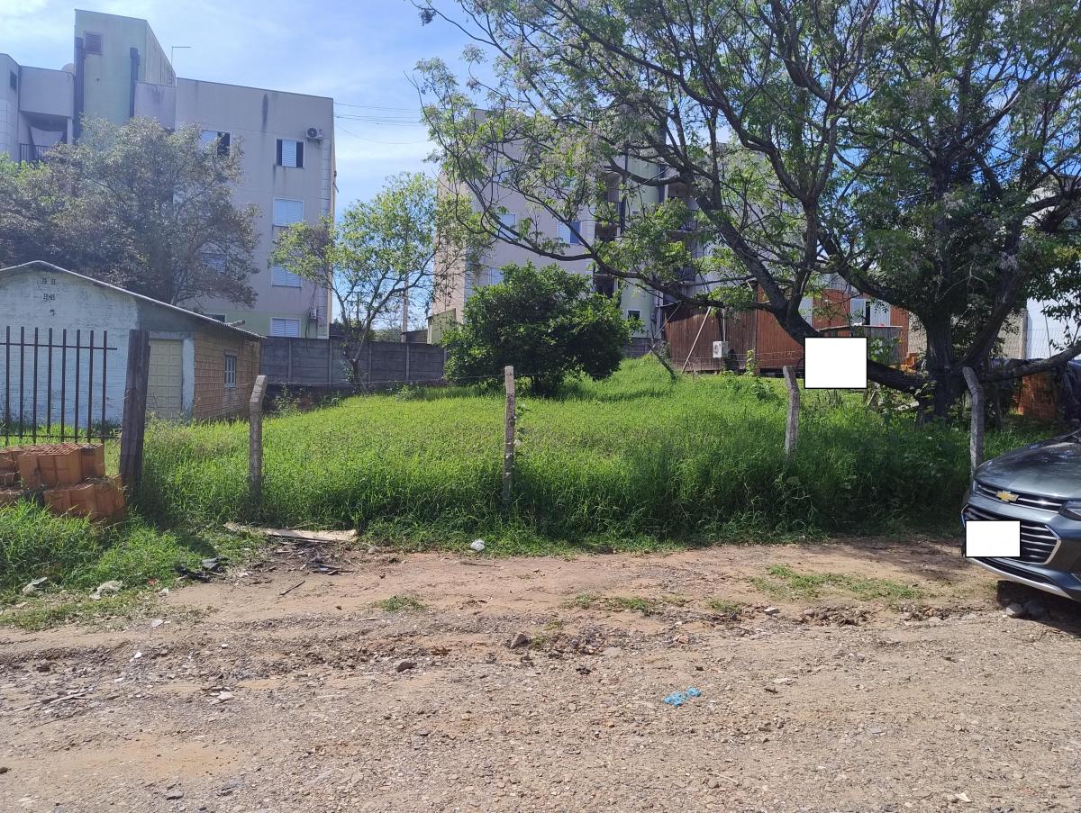 Foto - Sapucaia do Sul - Lomba da Palmeira