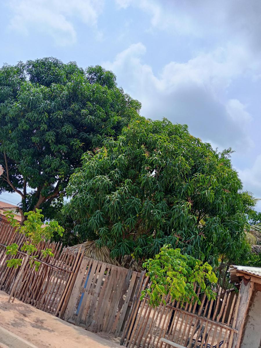 Foto - Parauapebas - 