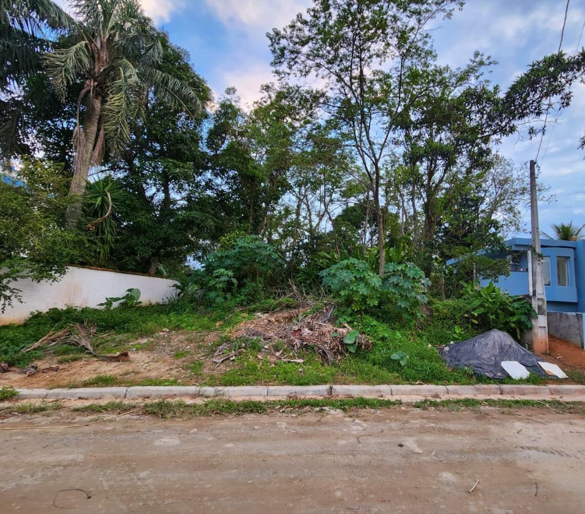 Foto - Caraguatatuba - Massaguaçu