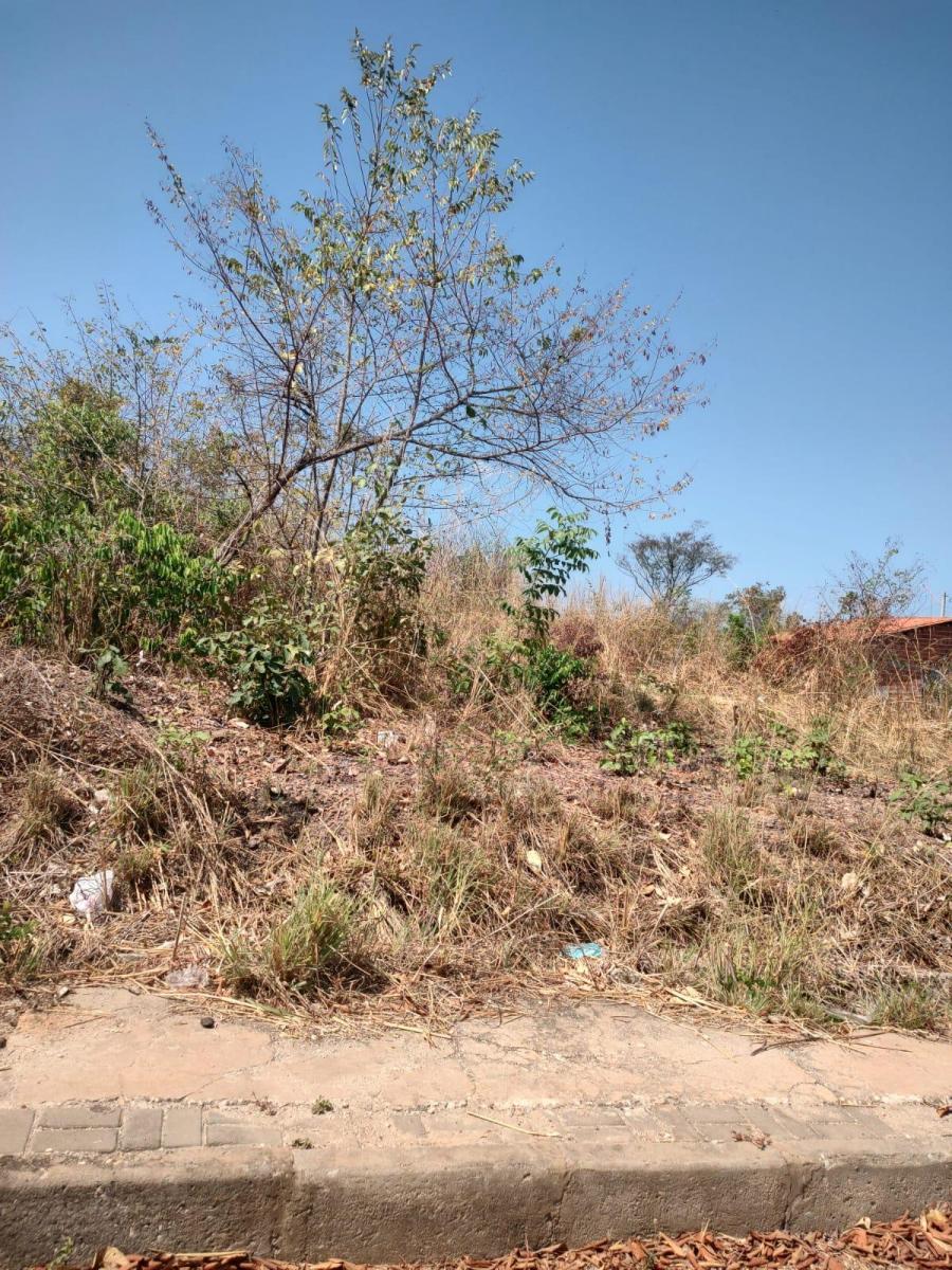 Foto - Teresina - Angelim