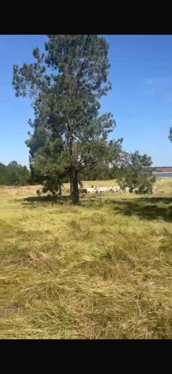 Foto - Paranapanema - Terras de Santa Cristina VI