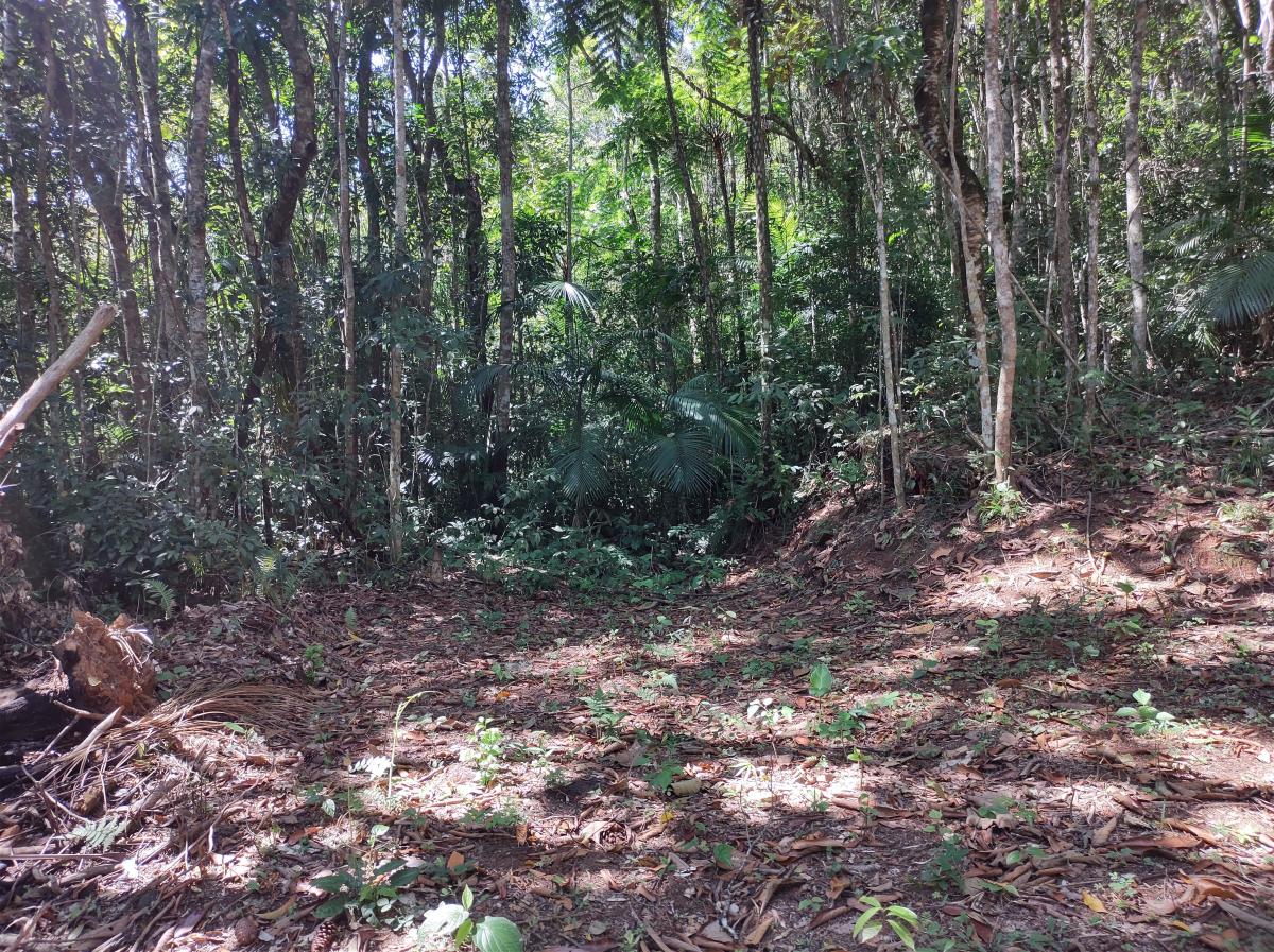 Foto - Itapecerica da Serra - Itaquaciara