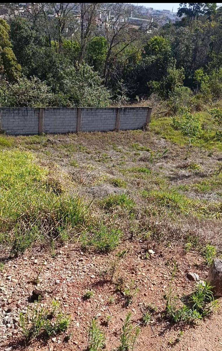 Foto - Conselheiro Lafaiete - Gigante