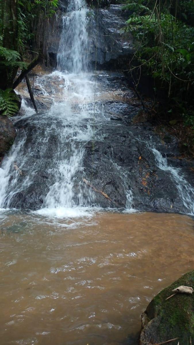 Foto - Campina Grande do Sul - 